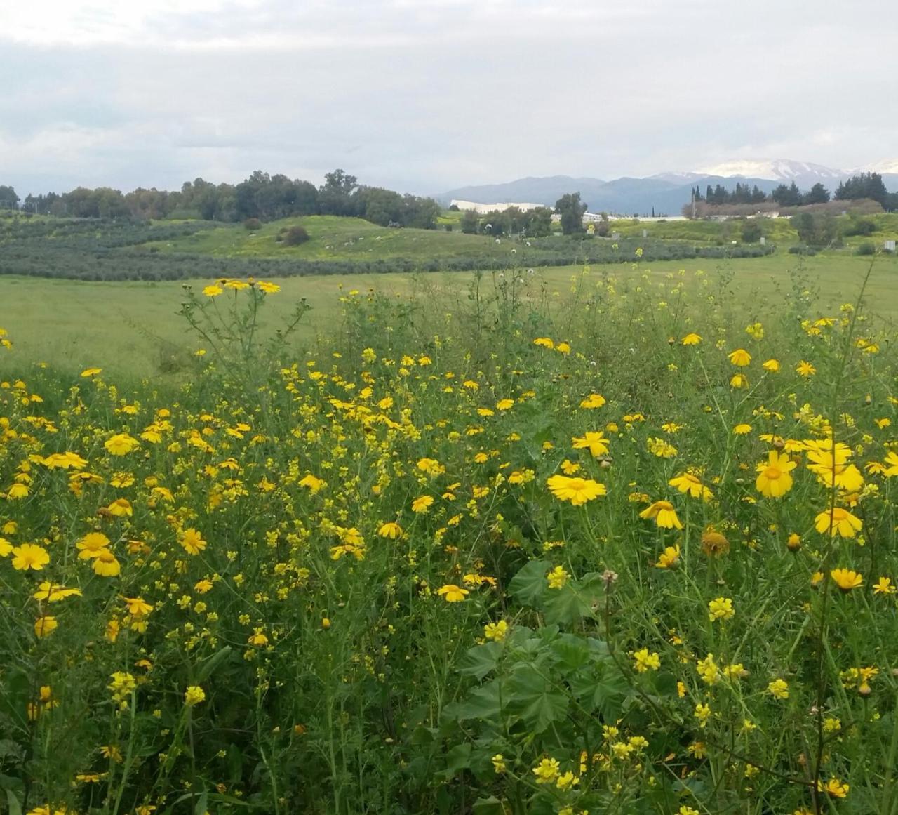 Naftali Albilia Kiryat Shemona ภายนอก รูปภาพ